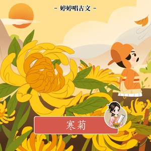 男女裸体操视频网站
