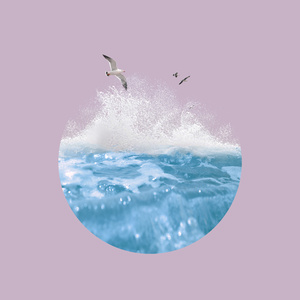 男女裸体操视频网站
